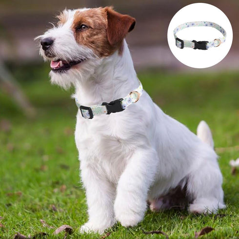 2 Pack Adjustable Personalized Dog Collars Soft Fancy Pet Collar Cute Flower Dog Collars Ideal for Male and Female Pet Dogs...