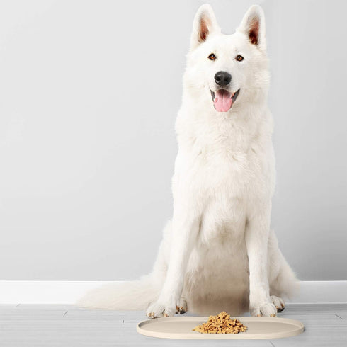 DogBuddy Dog Food Mat - Waterproof Dog Bowl Mat, Silicone Dog Mat for Food and Water, Pet Food Mat with Edges, Nonslip Dog Feeding Mat, Dog Food M...