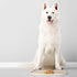 DogBuddy Dog Food Mat - Waterproof Dog Bowl Mat, Silicone Dog Mat for Food and Water, Pet Food Mat with Edges, Nonslip Dog Feeding Mat, Dog Food M...