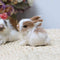 Mini Simulation Rabbits, Realistic Cute Plush Rabbits Lifelike Plush Bunny Realistic Rabbit Miniatures, White Rabbits Home Party Decors Model Gift...