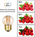 G40 Low Watt Light Bulb Edison LED Bulb Mini Globe Light Bulbs 1W Equivalent to 10Watt Incandescent E26 Screw Base Led Bulbs Ultra Warm White 2200...