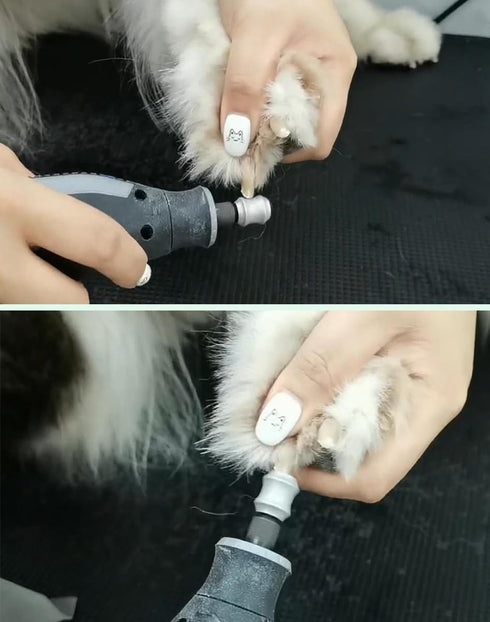 Diamond Dog Nail Grinder for Dremel - Dog Nail Grinder Attachment Bits for Large Medium and Small Dogs Cats Animals Nail Trimming (C...