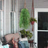 Artificial Hanging Vine, Weeping Willow Plastic Plants Greenery Leaves Fake Plant Faux Ivy Garland UV Resistant for Indoor Outdoor Garden Door Wal...