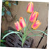 Tulip Lawn lamp Outside Solar Lights Outdoor Lawn Light Garden Stake Light Outdoor Light Ornament Solar Powered Lights Outdoor Lawn Solar Light Li...