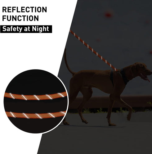 Long Dog Leash for Dog Training 30FT, Reflective Heavy Duty Dog Lead Rope with Soft Padded Handle, Suitable for Small to Large Dogs, Bright Orange...