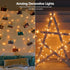ODEETRONIC Warm Christmas Lights - 21.63ft 100Count Steady & Blink Clear Christmas Lights, UL Certified Incandescent Fairy String Light, White Wir...