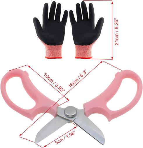 1 Set Rose Stem Leaf Thorn Stripper Stripping Tool Thorn Remove Kit with Scissors Stab-resistant gloves...