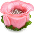 Truffle Cups | Truffle Liners | Truffle Wrappers | Fominhas | Candy cups for chocolate | Forminhas de Brigadeiro | Candy liners - Peony - Button (...
