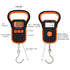 Digital Fishing Scale with Lip Gripper,Tape and Ruler,110lb/50kg Postal Hanging Luggage Scale with Hook?Waterproof Handing Scale for Home and Outd...