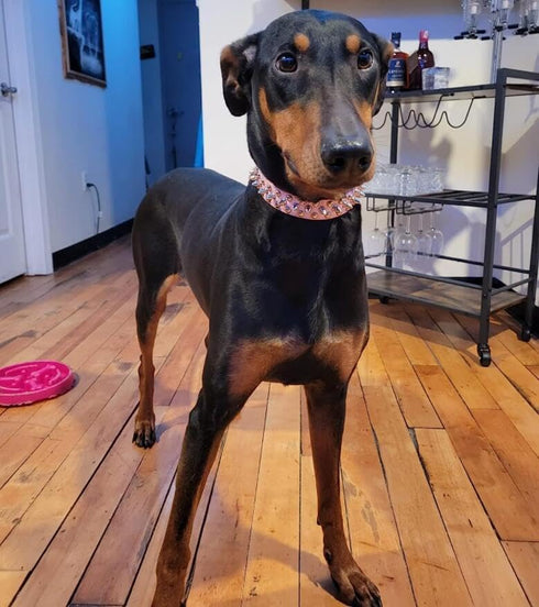 Spiked Dog Collar Soft Pu Leather Mushrooms Rivet Spike Studded Puppy Adjustable Pet Collars for Small Breeds (S, Black Set)...