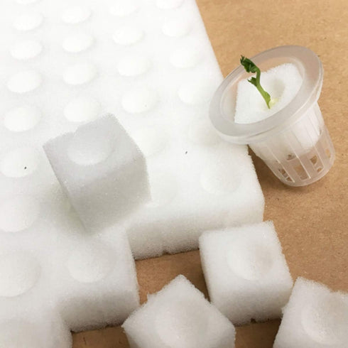 100Pcs Hydroponic Sponge Planting Gardening Tool Square Seedling Sponges for Greenhouse Hydroponic Sponge for Small Bud Growth or Grow Seedlings...