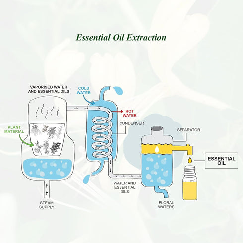 Honeysuckle Essential Oil Mumianhua Pure Honeysuckle Oil Therapeutic Grade Honeysuckle Fragrance Oil for Skin, Hair, Body, Diffuser, Candle Making...