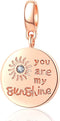 Rose Gold You are My Sunshine Charms 925 Sterling Silver Sun Charms Fits Pandora DIY Bracelet...