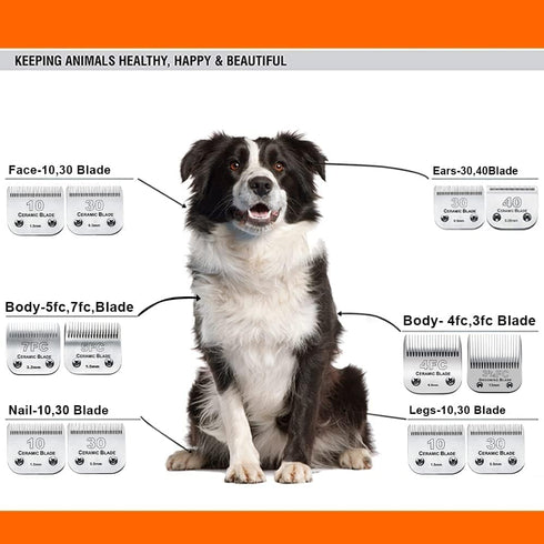 1Pack 10 Blade Dog Groomg Blades Compatible with Pet Clipper/Oster A5/Wahl KM Series Dog Clipper,Ceramic Blade & Stainless Steel Blade...