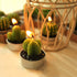 Outee 12 Pcs Cactus Tealight Candles Handmade Delicate Succulent Candle Cactus Candles Smokeless Aromatherapy Mini Candles Tea Lights 12 Styles fo...