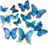 12PCS PVC 3D Butterfly Fridge Magnets Refrigerator Magnets Wall Stickers with Magnet for Wall Decor Art Decor Crafts Home Party Decoration (Blue)....
