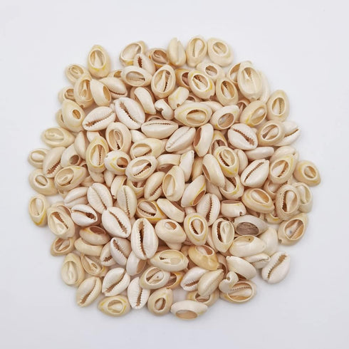 8 Ounces (160-220 Pieces) Natural Spiral Cowrie Shell Beads, Cut Sea Shell Connectors, White 0.7"-0.86" for Jewelry Making...