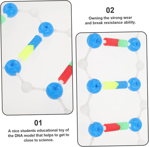 Dna Double Helix Model Components Educational Teaching Model Dna Teaching Aids Molecular Model Self-assembling Model Dna Model Kit Biology Dna Mod...