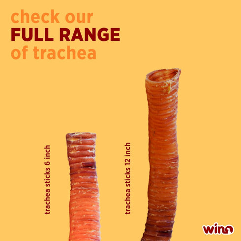 WINO - Trachea for Dogs - Fully Digestible, Odor Free Chews, Supporting Dental Health, 100% Beef Hight Protein, Delicious Dog Snacks, Reducing Des...