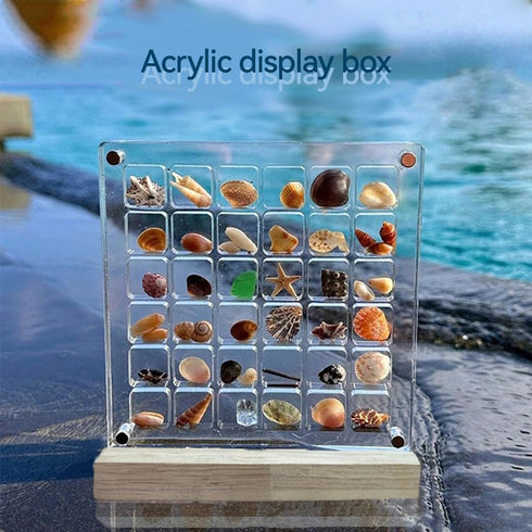 Acrylic Magnetic Seashell Display Box, Seashell Collection Box and Jewellery Display Box, Collection of Seashells for Display, Small Crafts Storag...