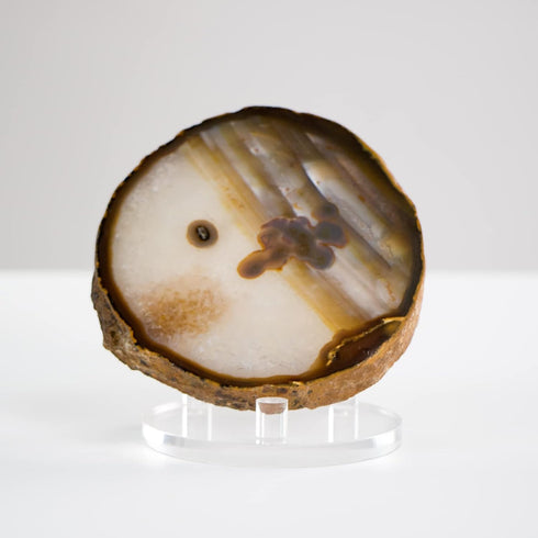 Clear Acrylic Rocks Display Stand, 3.3Inch Three-Peg Round Acrylic Display Easels Holders for Gemstone Agate Slices Crystals Painted Rocks Mineral...