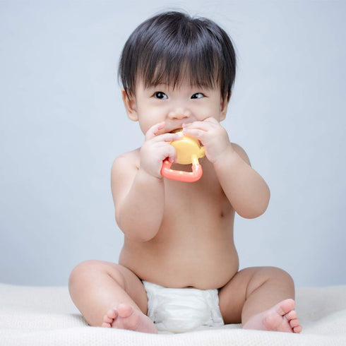 Medical-Grade Teething Toys for Babies 0-6 6-12 12-18 Months - Teethers with 2 × Baby Fruit Feeders and 4 × Baby Teether - BPA Free/Freezer Free -...