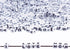 Amaney 810pcs 6x6mm Cube Acrylic Alphabet Letter Beads for Jewelry Making Bracelets Necklaces Key Chains...