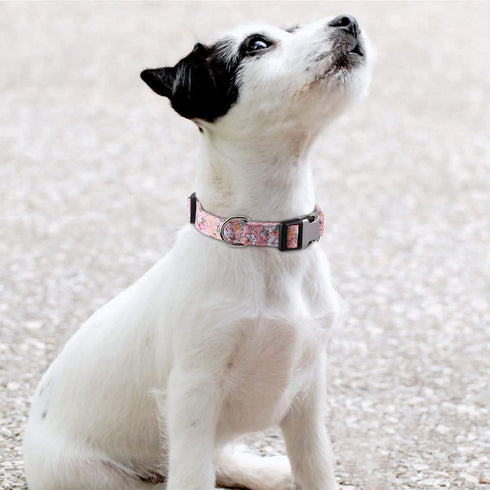 Girl Dog Collar for Small Medium Large Dogs, Cotton Pet Collar, Flowers Daisy and Rose Patterns with Quick-Release Buckle (Flower Pink, M)...