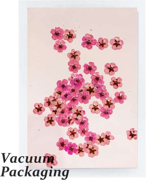 Dried Pressed Flowers for Resin, 60PCS Pink Real Pressed Dried Little Plum Blossom Flower with Forceps for Scrapbooking DIY Candle Decor Jewelry S...