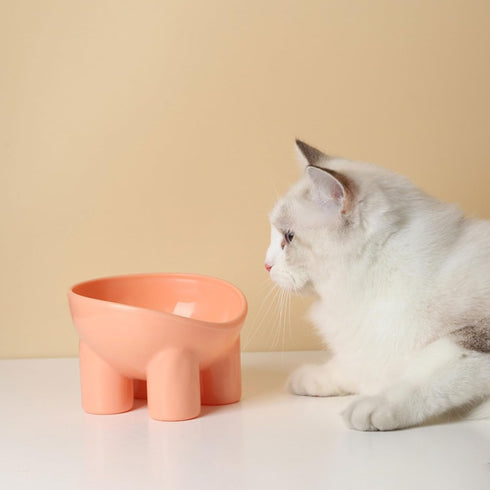 Cat Bowls Elevated Macaron Color Protects The Neck from Upsetting Plastomer Tilted Food and Water Bowl,Elevated Dog Bowls for Small Dogs (Turq)...