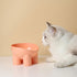 Cat Bowls Elevated Macaron Color Protects The Neck from Upsetting Plastomer Tilted Food and Water Bowl,Elevated Dog Bowls for Small Dogs (Turq)...