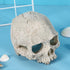 Halloween Aquarium Landscape Skull Aquarium Skull Artificial Skeleton Decoration for Home Décor Aquarium Fish Tank Landscape Collectible Teaching ...