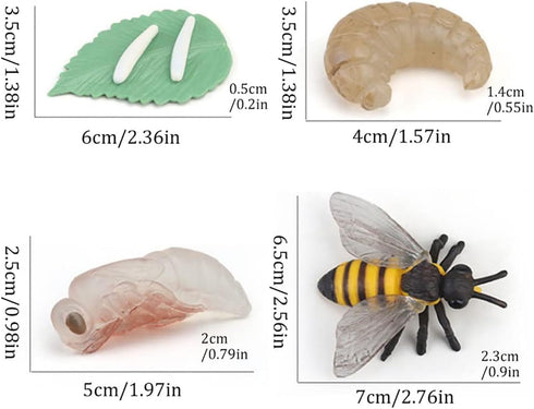 Bee Growth Life Cycle Insect Life Cycle Figurines of Bee, Bee Figurine Model Set with 4 Instruction Cards, Realistic Animal Growth Cycle Model, Ed...