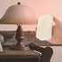 OSALADI 15pcs Lampshade Cleaning Brush Light Cleaning Sponge Lamp Shade Cleaning Sponge Fabric Cleaning Sponge Pet Hair Cleaner Lampshade Cleaning...