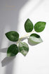 Floroom Artificial Green Leaves 35pcs Bulk Faux Silk Greenery Fake Rose Flower Leaves for DIY Wedding Bouquets Bridal Shower Centerpieces Home Dec...