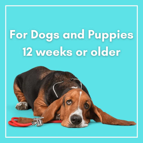 Tear Stain Wipes + Skin Balm For Dogs | Bulldog, French Bulldog, Pug, English Bulldog | Cleans & Soothes Tear Stains, Wrinkles, Folds, Tail Pocket...