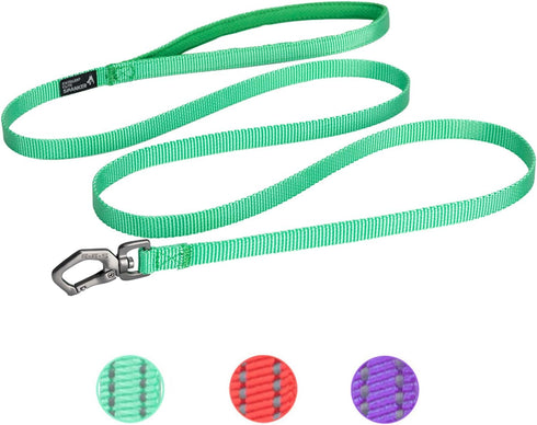 EXCELLENT ELITE SPANKER Nylon Dog Leash Basic Style 5 Feet Long 1/2" Wide Rope for Small Pets Dogs and Cats Walking(Green)...