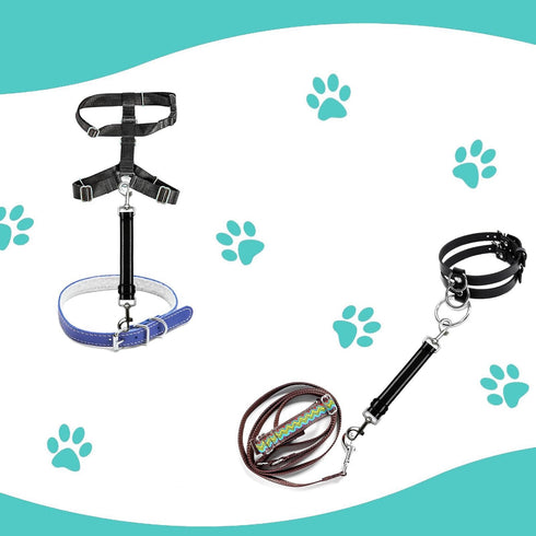 Dog Safety Clip,Dog Prong Collar Safety Clip,2 Pcs Safety Clip for Prong Clip,Adjustable Reflective Nylon Puppy Collar,Pet Collar Harness Dog Coll...