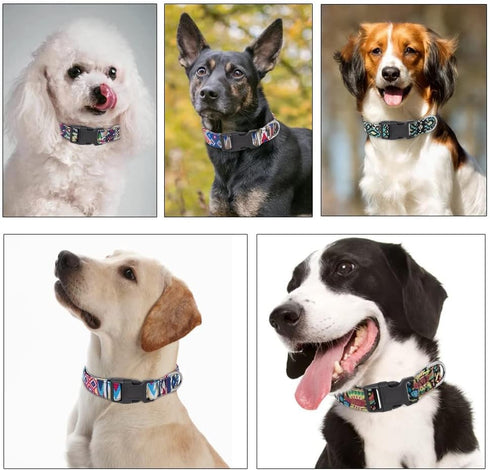 Moonpet Dog Collars for Puppy X-small Small Medium Large Dogs - Unisex Cute Design Boys Girls Dog Pet Collar Soft Adjustable Bohemia Fancy Floral ...