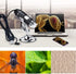 USB Digital Microscope 1600x 8 LED Magnification Endoscope Camera with Metal Stand Compatible with Windows, Android and Mac...