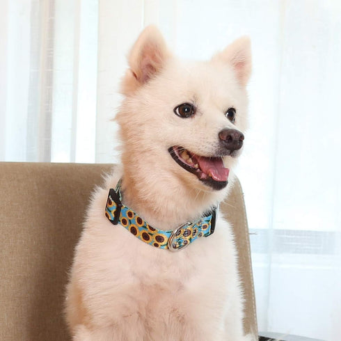 2PCS Sunflower Dog Collars and Pet Floral Leash Set Puppy Adjustable Collars for Small Medium Large Dogs Boys Girls (Large)...