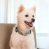 2PCS Sunflower Dog Collars and Pet Floral Leash Set Puppy Adjustable Collars for Small Medium Large Dogs Boys Girls (Large)...