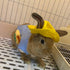 ANIAC Funny Cat Hat for Cat XXS Dog Sun Hat with Ears Hole Rabbit Outfit for Bunny Mini Sombrero Puppy Hat Party Costume Head Accessories for Kitt...