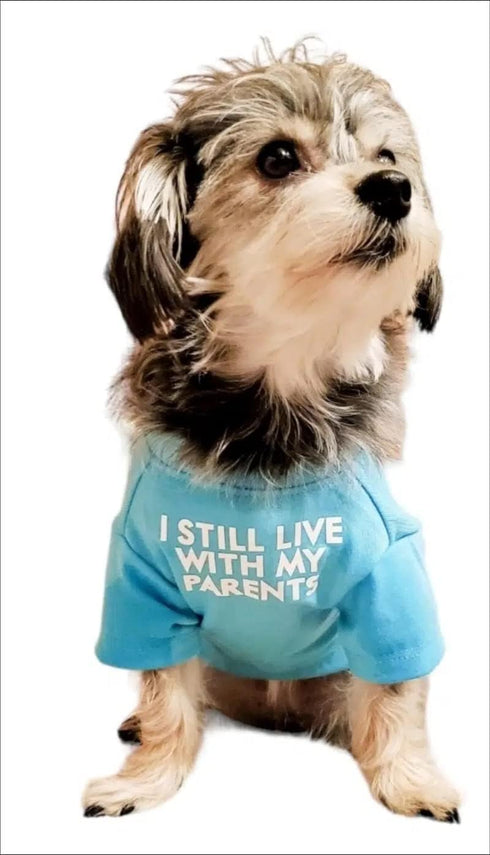 Cute Dog Clothes,Dog T Shirt for Medium Dogs.Dog Clothes for Small Dogs Girl Boy,Puppy.Breathable Soft Dog Costume Pet Dogs Cats,Pet Pullover Jump...