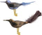Department 56 Christmas Angel Feathered Bird Clip Ornament, 2.5 inch (Set of 2)...