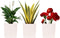 Plant Pots Set of 3 Pack, 5.1" White, Plastic Pots for Plants, Planters for Indoor Plants, Flower Pots, Indoor Planter, Pots for Plants Indoor wit...