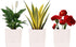 Plant Pots Set of 3 Pack, 5.1" White, Plastic Pots for Plants, Planters for Indoor Plants, Flower Pots, Indoor Planter, Pots for Plants Indoor wit...