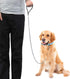Mogoko 4ft Metal Dog Leash, Heavy Duty Chew Proof Pet Leash Chain with Padded Handle for Outdoor Training Black...