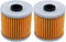 2 Pack Yerbay Compatible Motorcycle Oil Filter for Kawasaki 220 Bayou KLF220 KLF-220 1988-2002 16099-004...