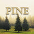 1 oz. Pine/Christmas Pine - Water Based Scent Additive for Fog, Haze, Snow & Bubble Juice - Scents 2 Gallons...